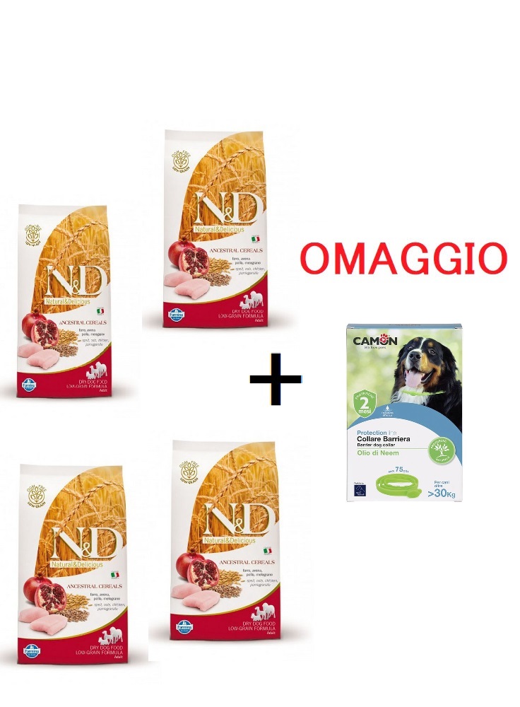 ND1