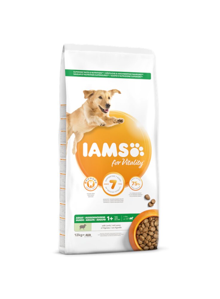 Iams Dog Base Adult Large Breeds Agnello