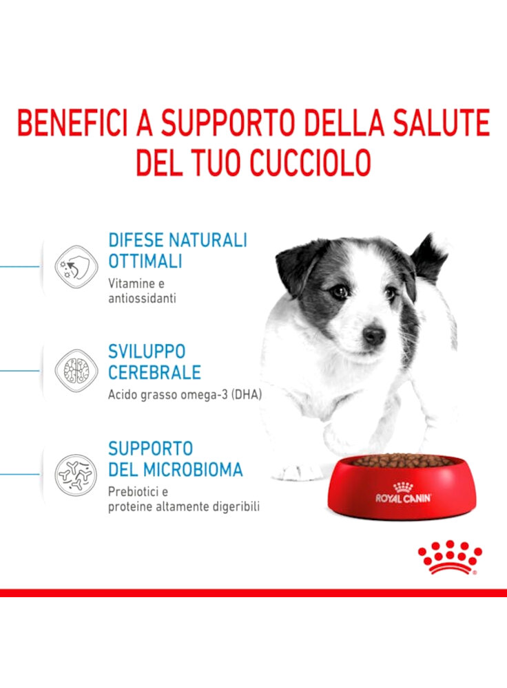Royal canin mini junior Royal Canin da 0.00