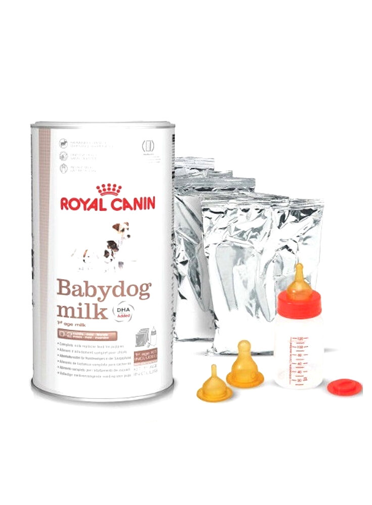 Babydog Milk Royal Canin