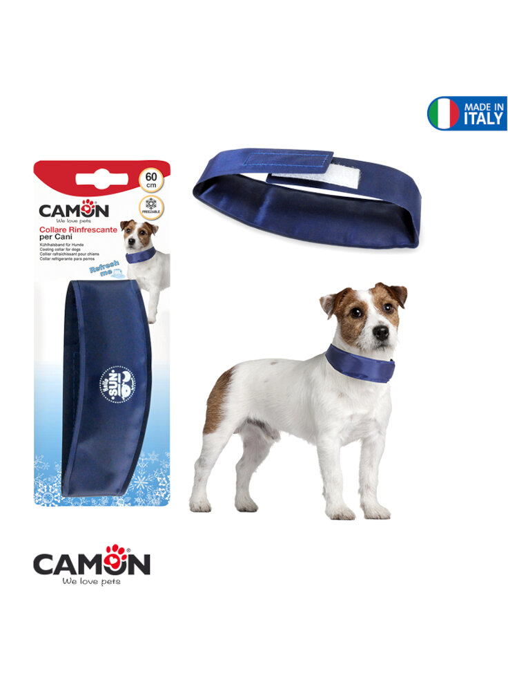 collare-rinfrescante-per-cane-33-cm