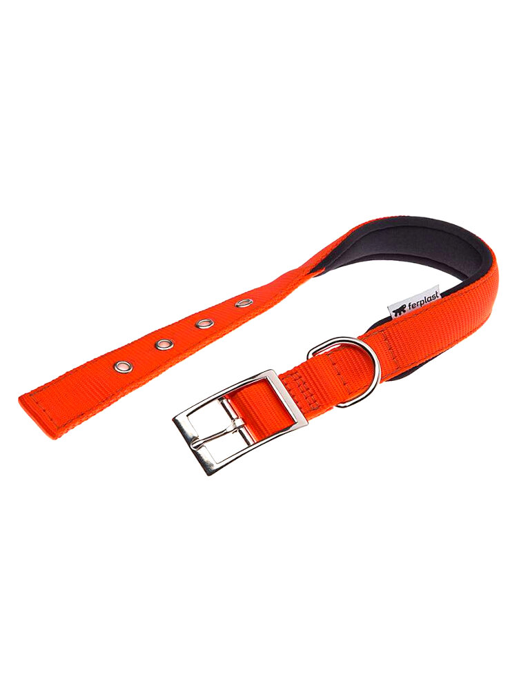 Collari per Cani