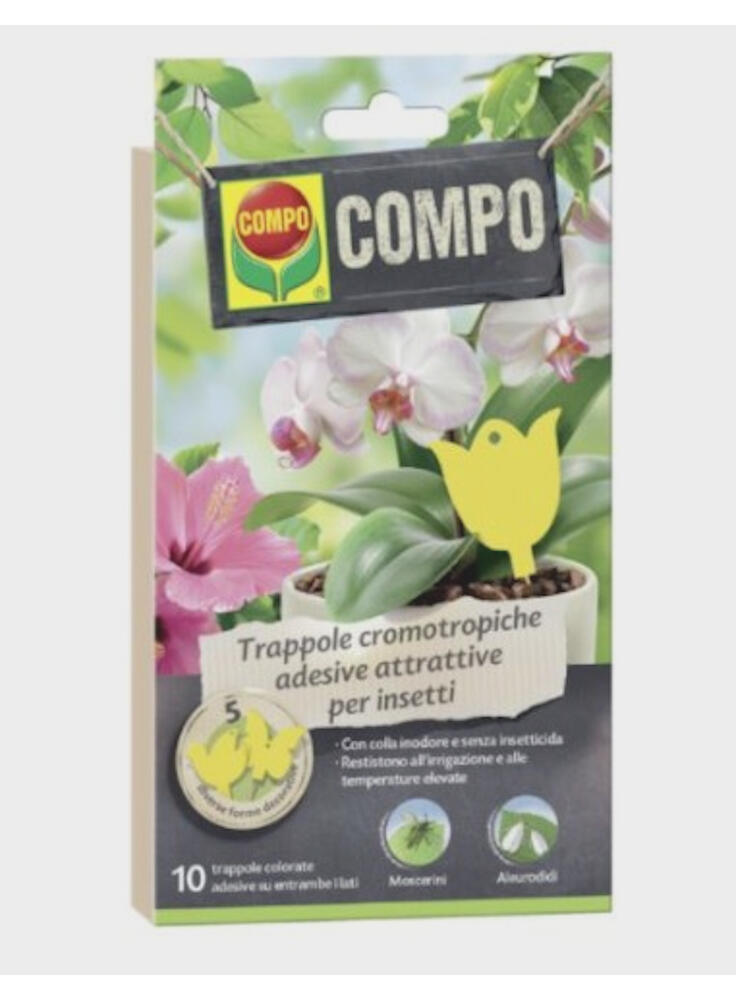 Compo Trappole Cromotropiche per insetti adesive 10 pz