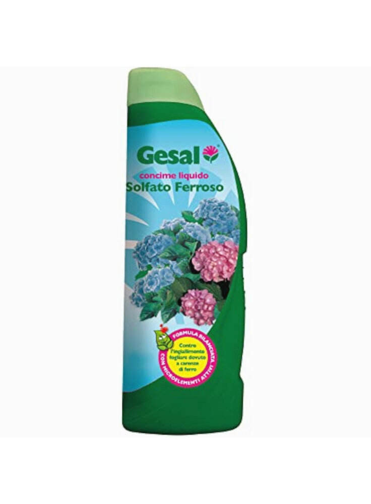 GESAL SOLFATO FERROSO KG.1