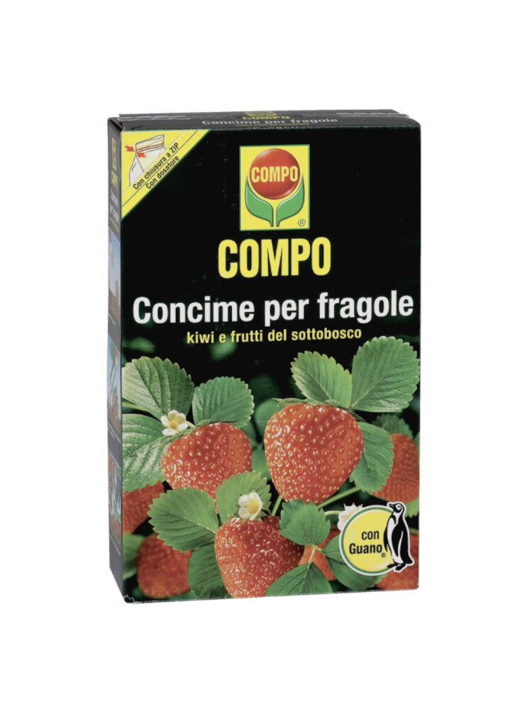 COMPO FRAGOLE KG.1