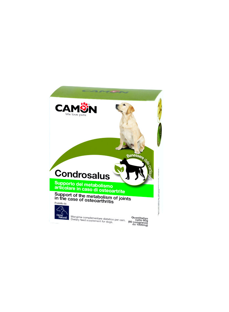 Camon Condrosalus rinforza e protegge la cartillagine 60cpr