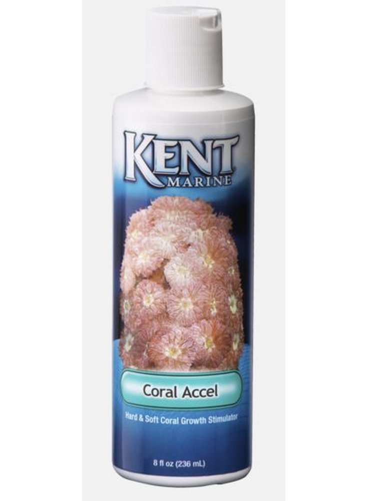 STIMOLATORE PER LA CRESCITA DI CORALLI Kent Coral Accel