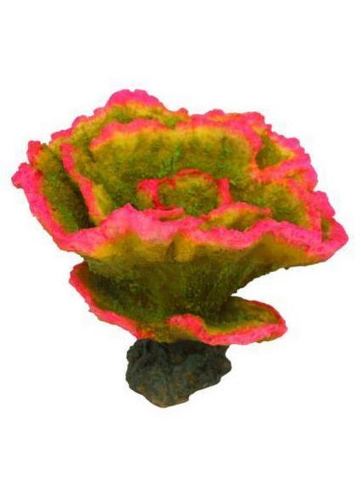 Haquoss decorazione corallo finto Montipora