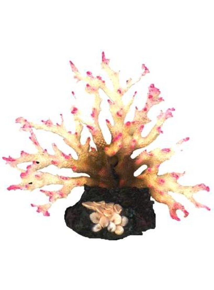 Haquoss decorazione finto corallo acropora 5