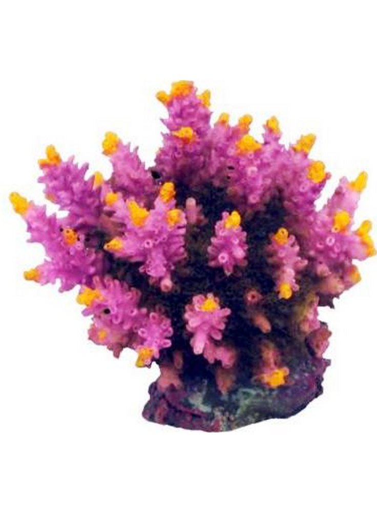 Haquoss decorazione finto corallo acropora 7