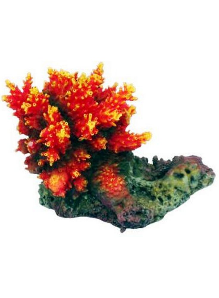 Haquoss decorazione finto corallo acropora 8