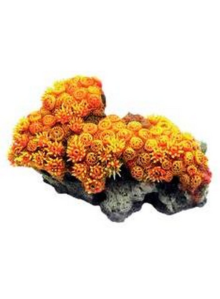 Haquoss decorazione corallo finto tubastrea 1