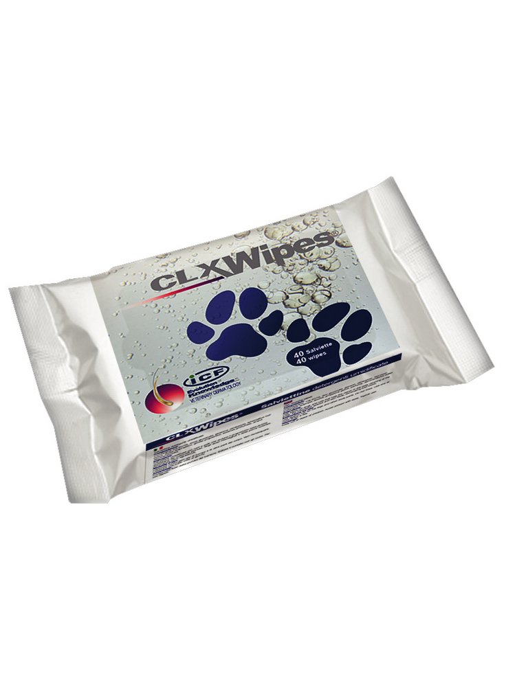 Salviettine Clorexydina icf clx whipes  ICF €12.96