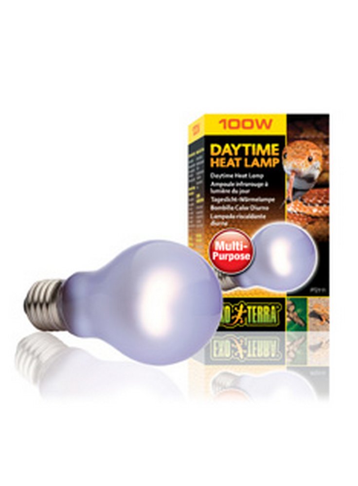 daytime_heat_lamp_100w_2111