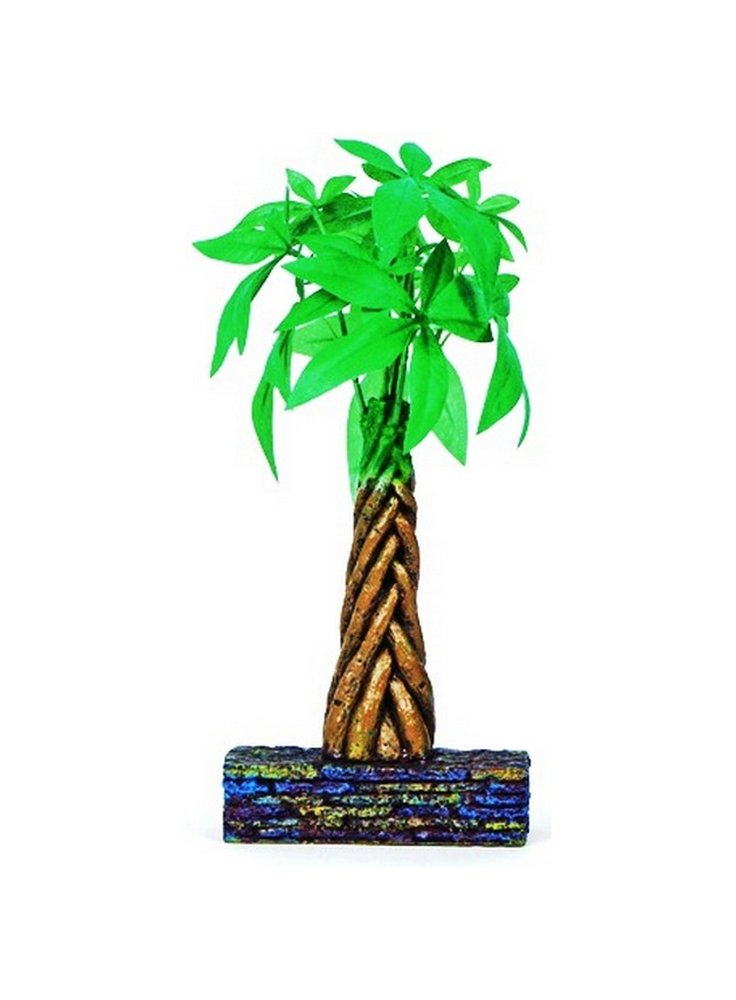 Marina Betta kit Braided Money Tree 3 lt