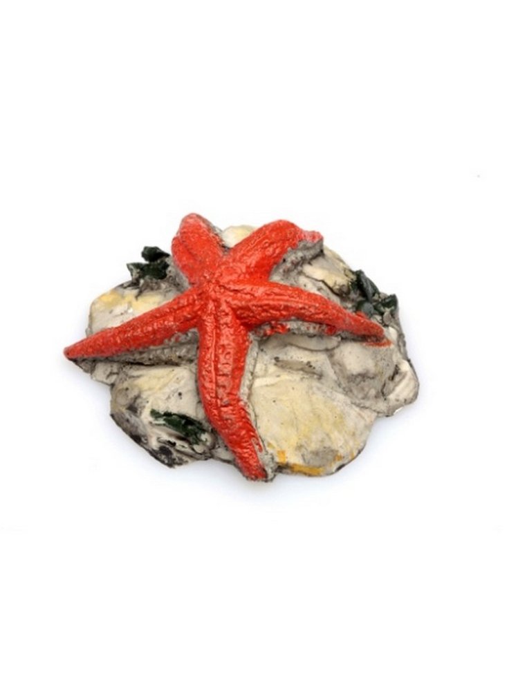 Decorazione stella su roccia piccola
