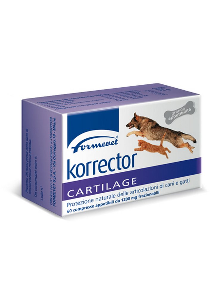 27115308_korrector_cartilage_BIG