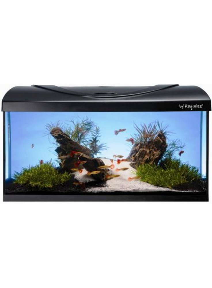 Acquario Diversa 60 haquoss lt 54 expo