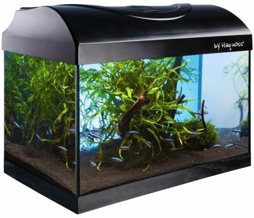 Acquario Diversa 40 haquoss lt 25