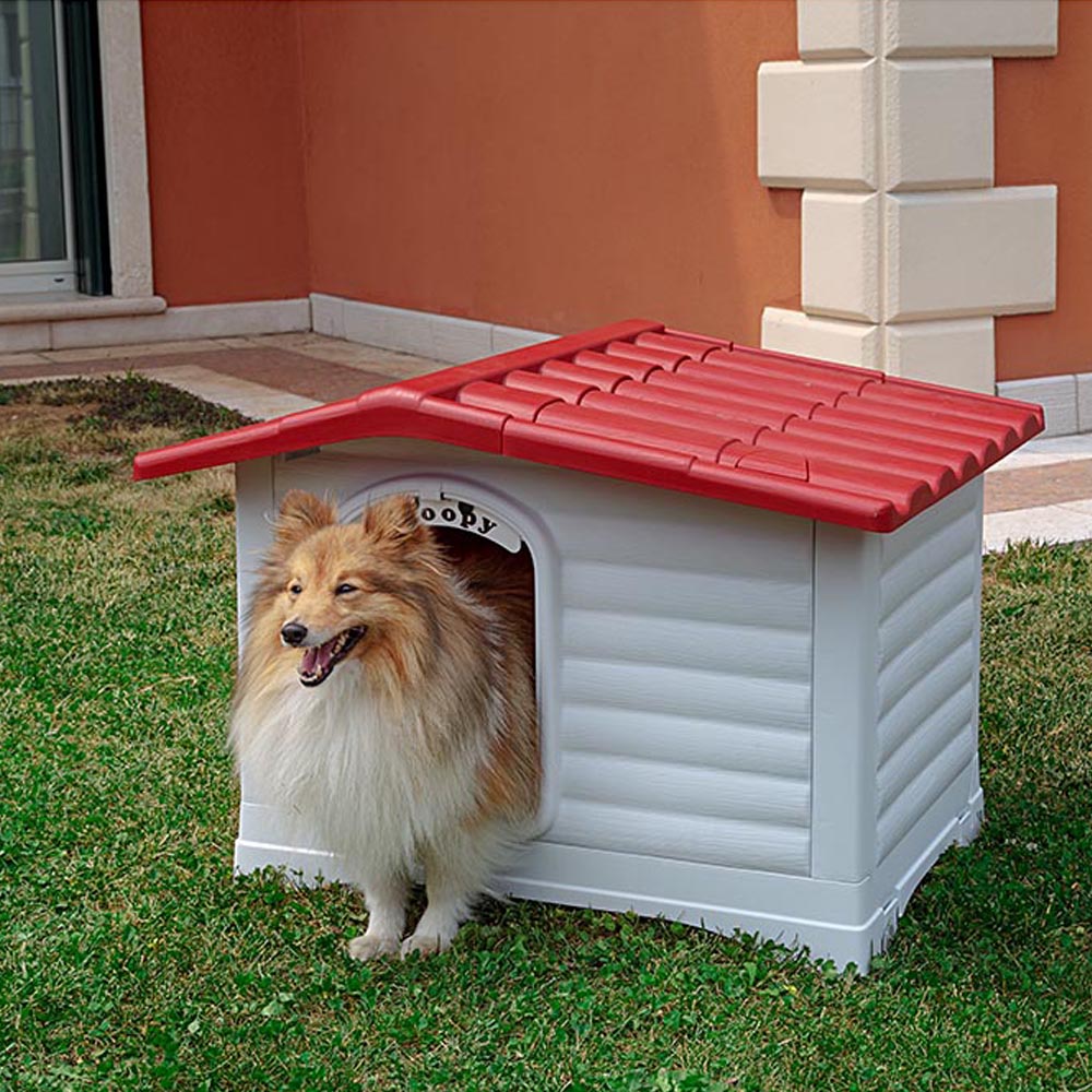 dogvilla-70-smile-3