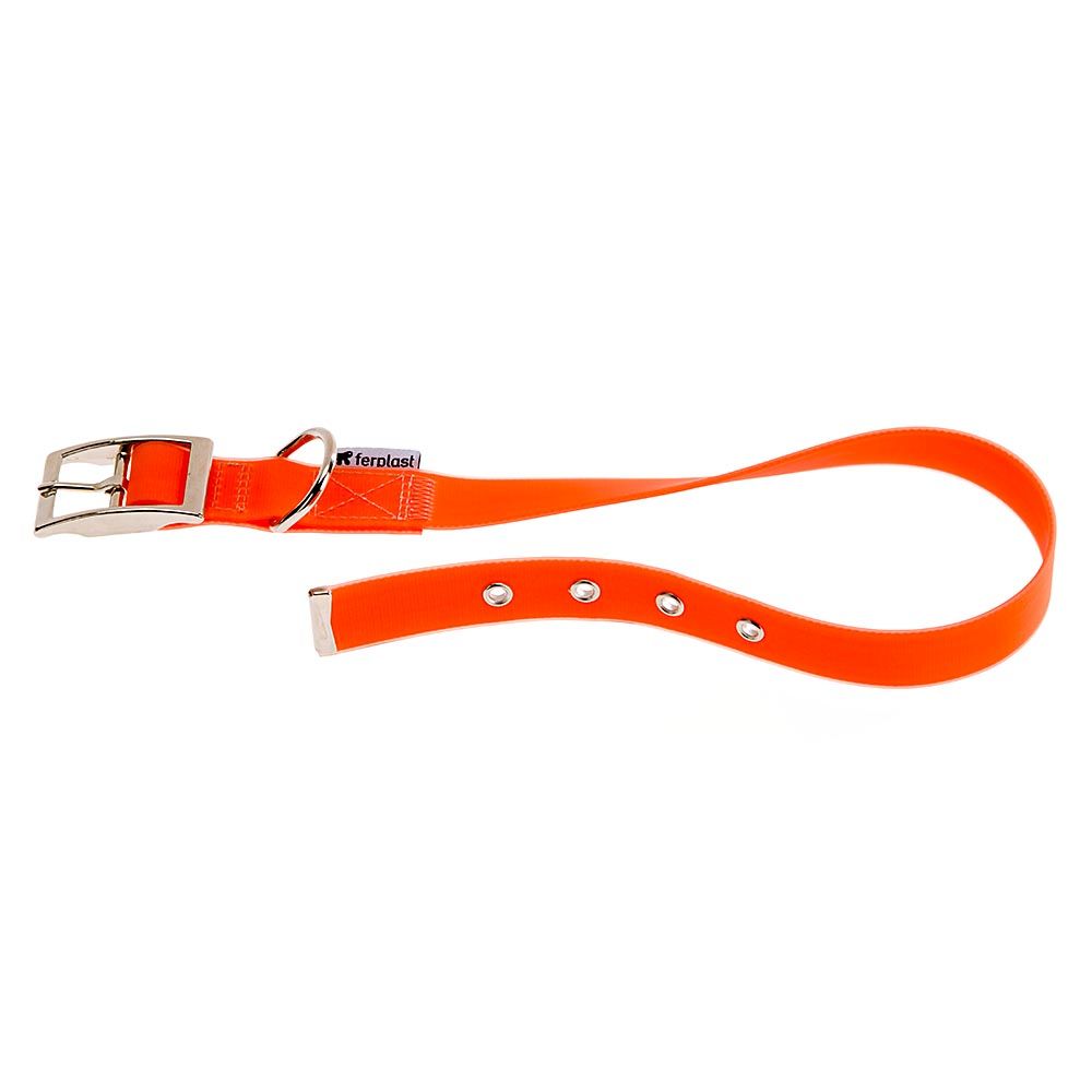 evolution-cf16-37-arancio-coll