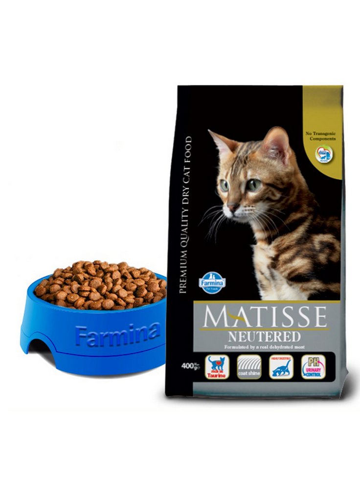 21102356_Matisse%20neutered