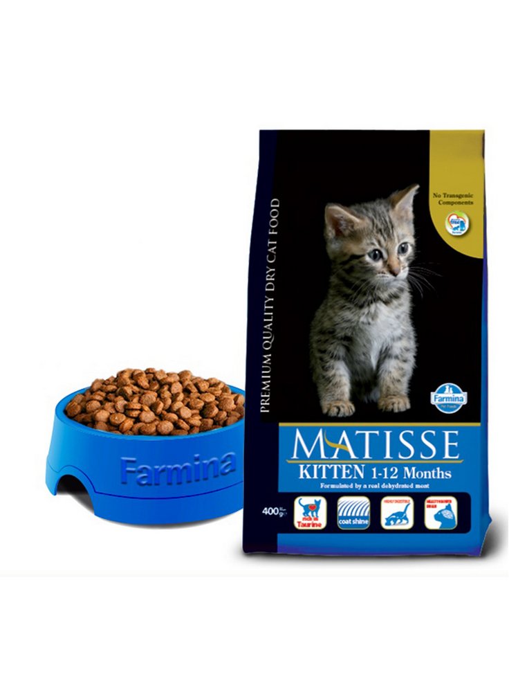 Matisse%20kitten