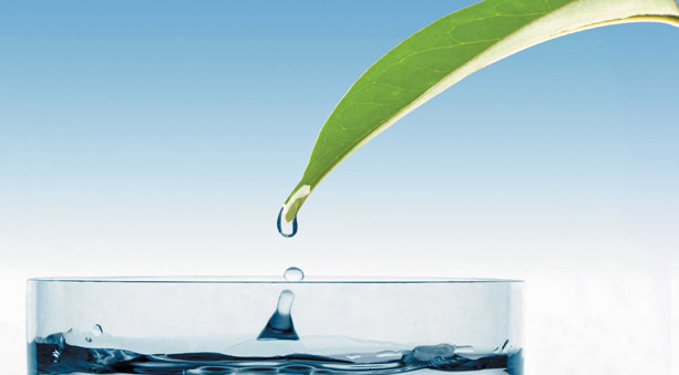 Fertilizzante liquido acquario