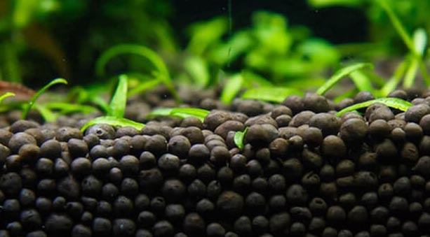 Fertilizzante per il fondo