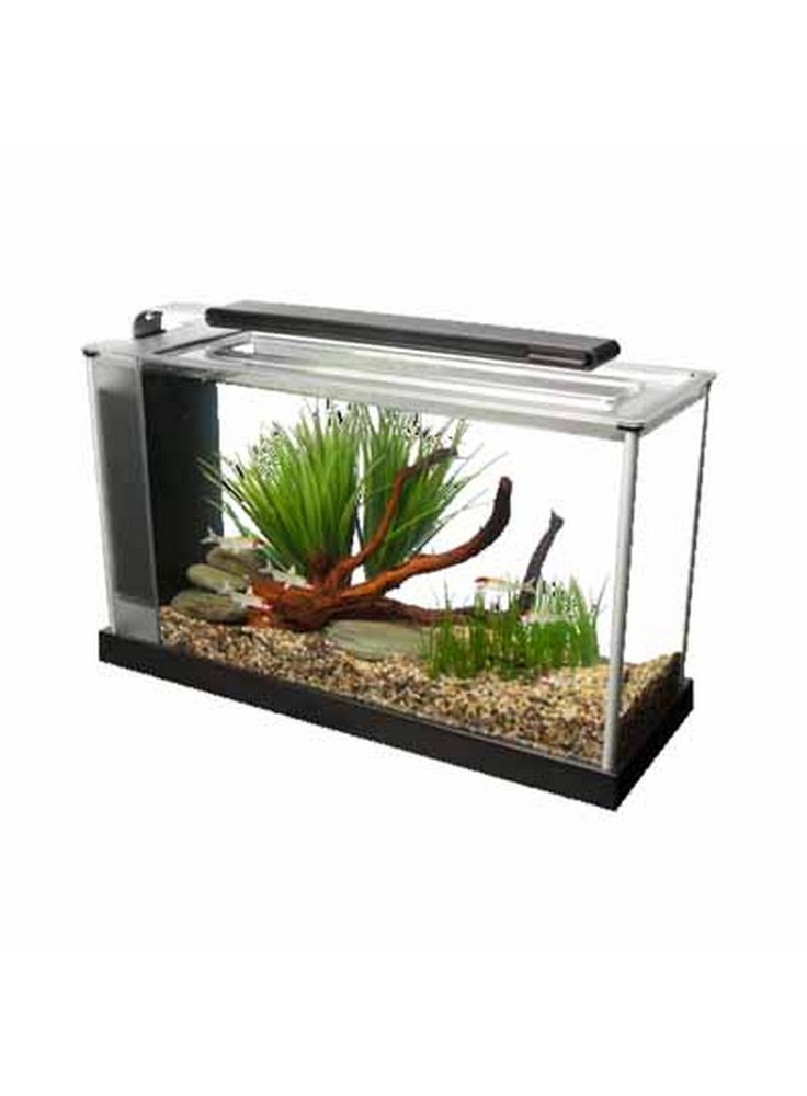 fluval_spec_V.2_copia