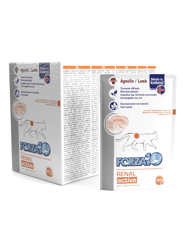 forza-10-renal-actiwet-cane-agnello-12x100-gr-senza-confezione-originale