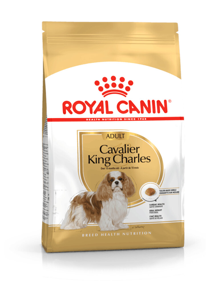 Cavalier King Charles Adult Royal Canin
