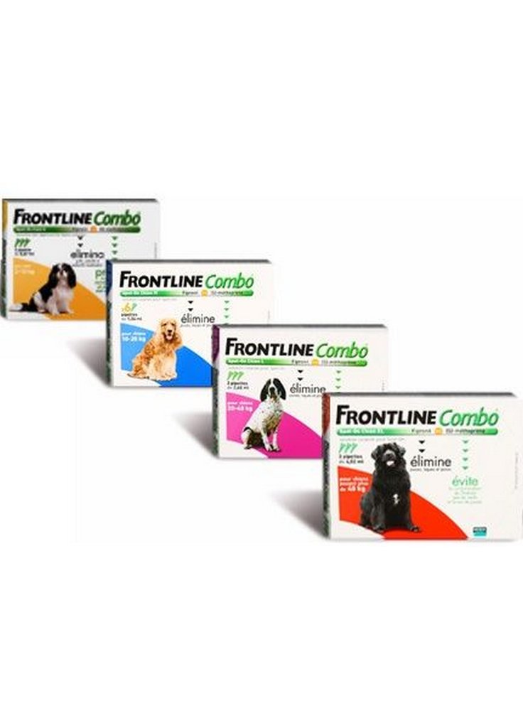 Frontline combo Cani