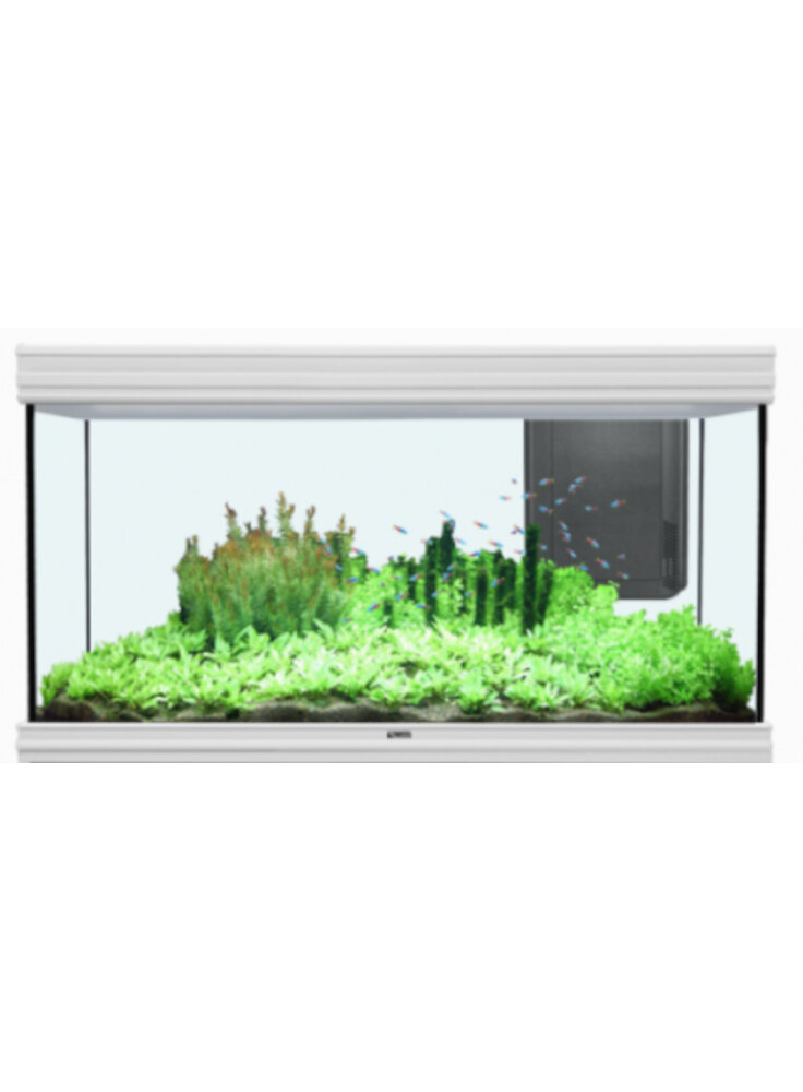FUSION 120 LED 120X50 BIANCO