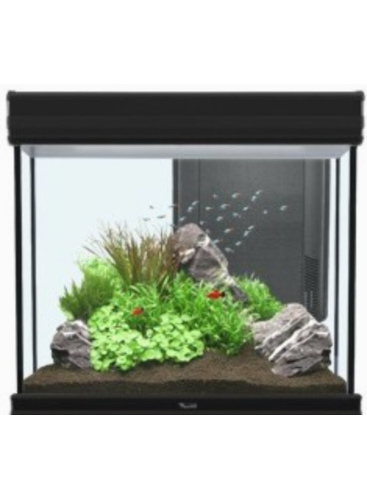Acquario FUSION 60 LED 60 X 40 NERO