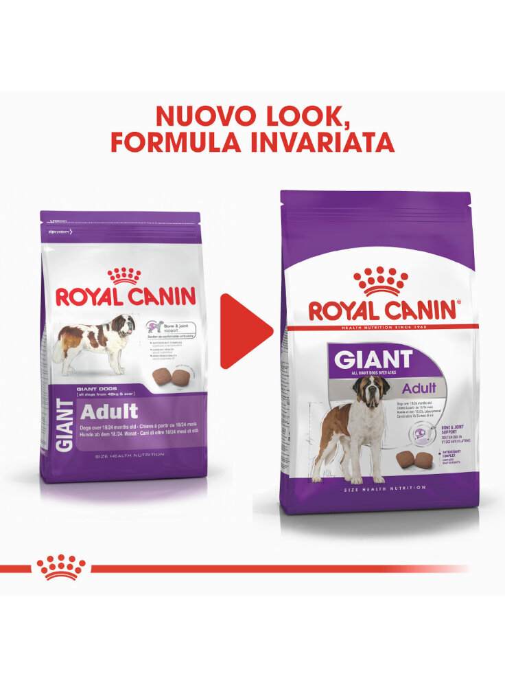 giant-adult-cane-royal-canin-3