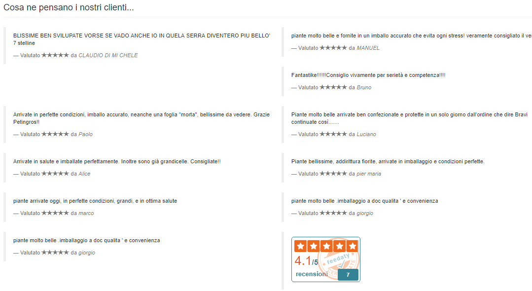 Pianta su mezza anfora Ht1386M