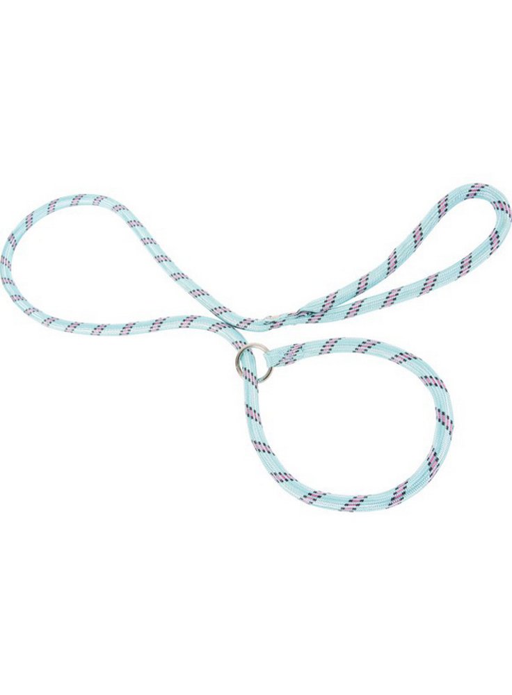 guinzaglio-nylon-corda-strangolo%20azzurro