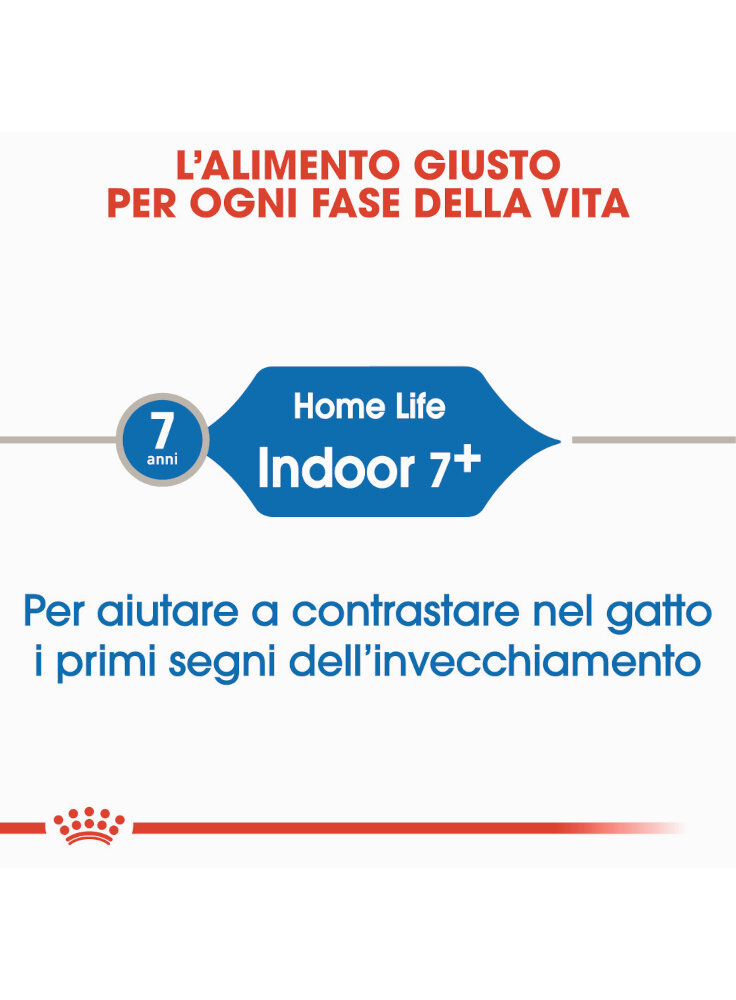 homelife-indoor-7-gatto-royal-canin-1