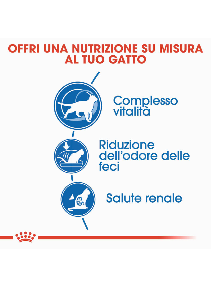 homelife-indoor-7-gatto-royal-canin-2