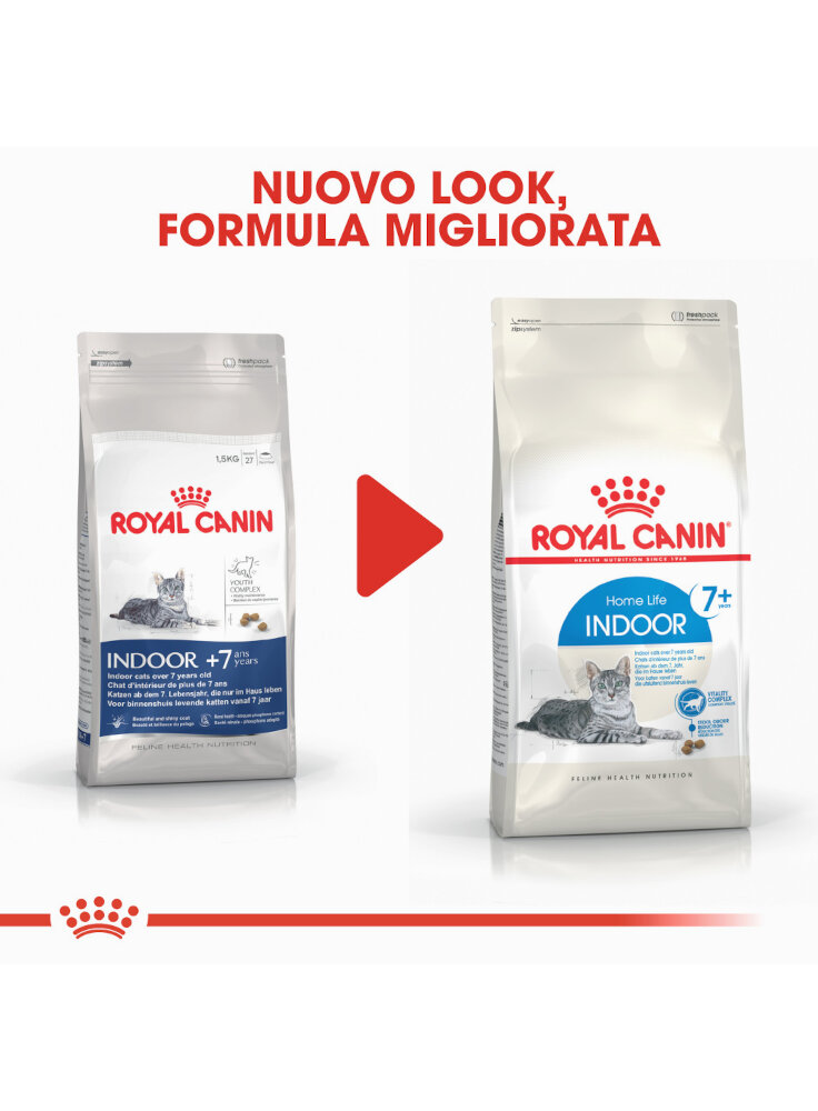 homelife-indoor-7-gatto-royal-canin-5