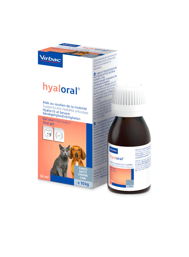 hyaloral-50ml-gel