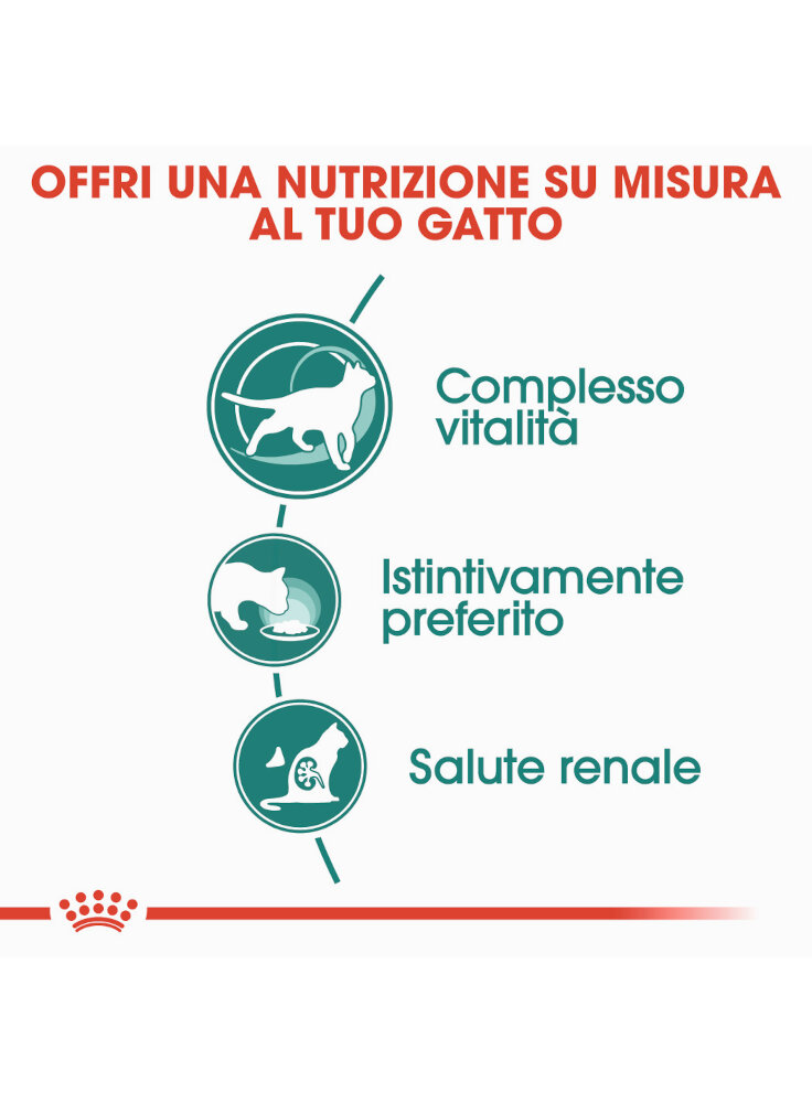 instinctive-7-buste-gatto-royal-canin-12x85gr-1