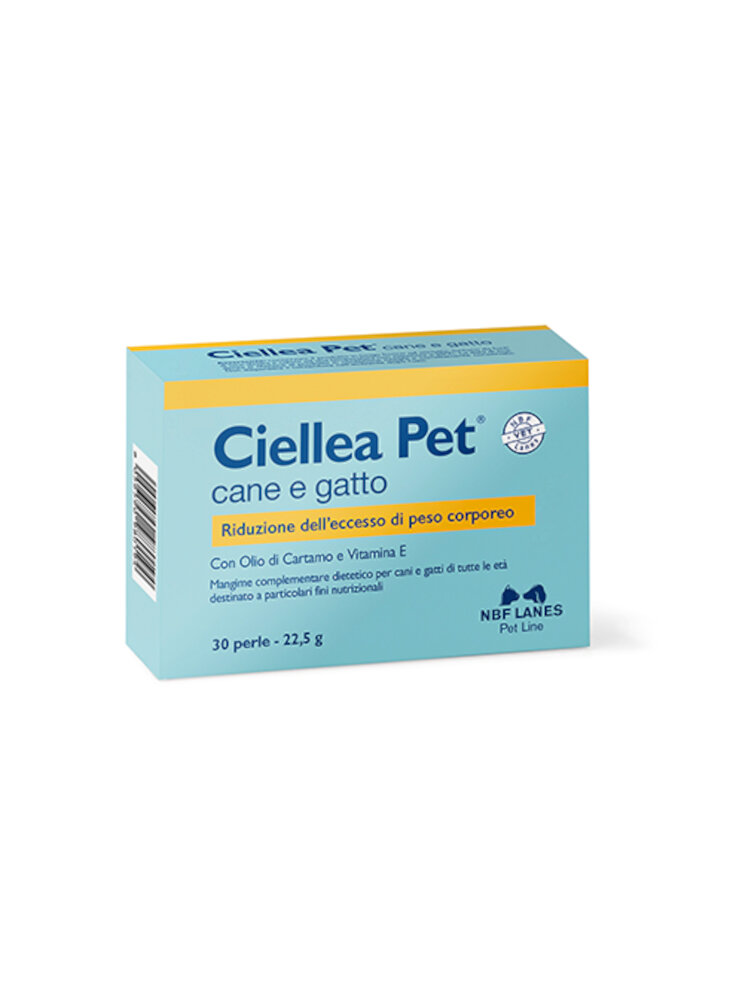 Ciellea Pet Recovery