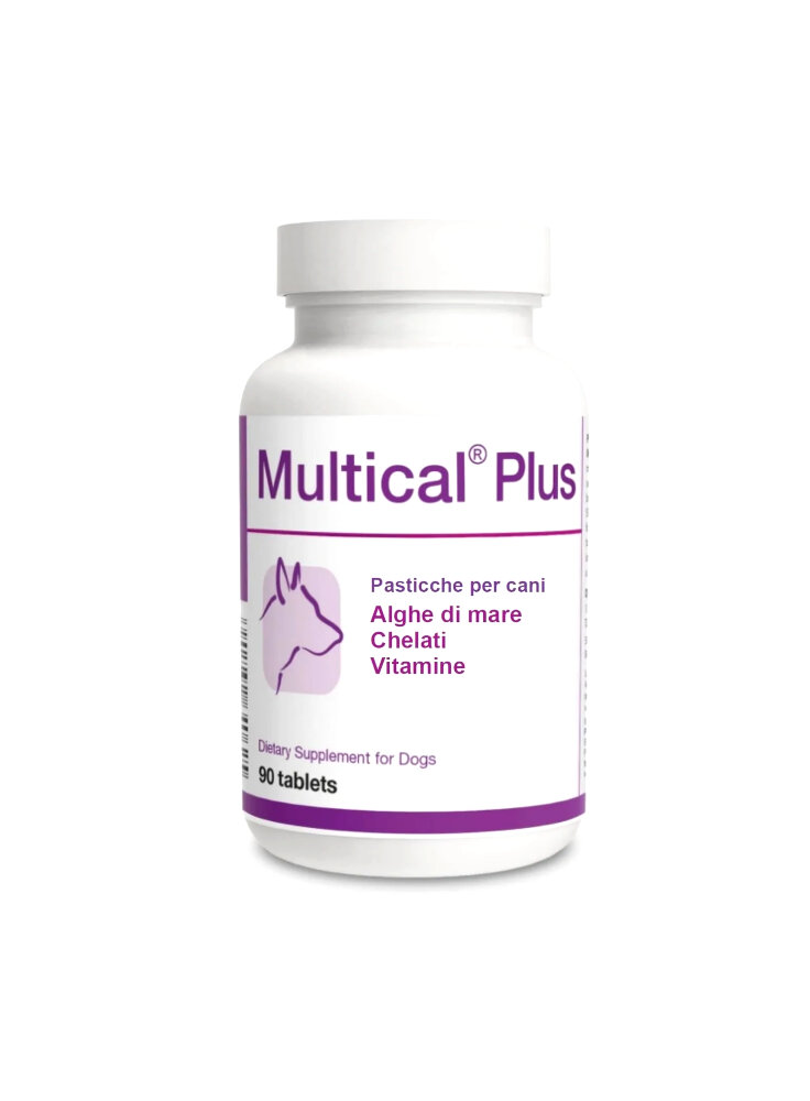 22103832_multical_plus