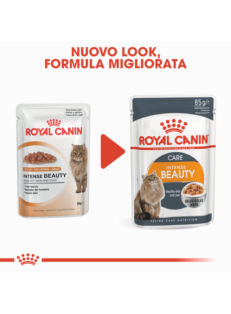 intense-beauty-buste-gatto-royal-canin-2