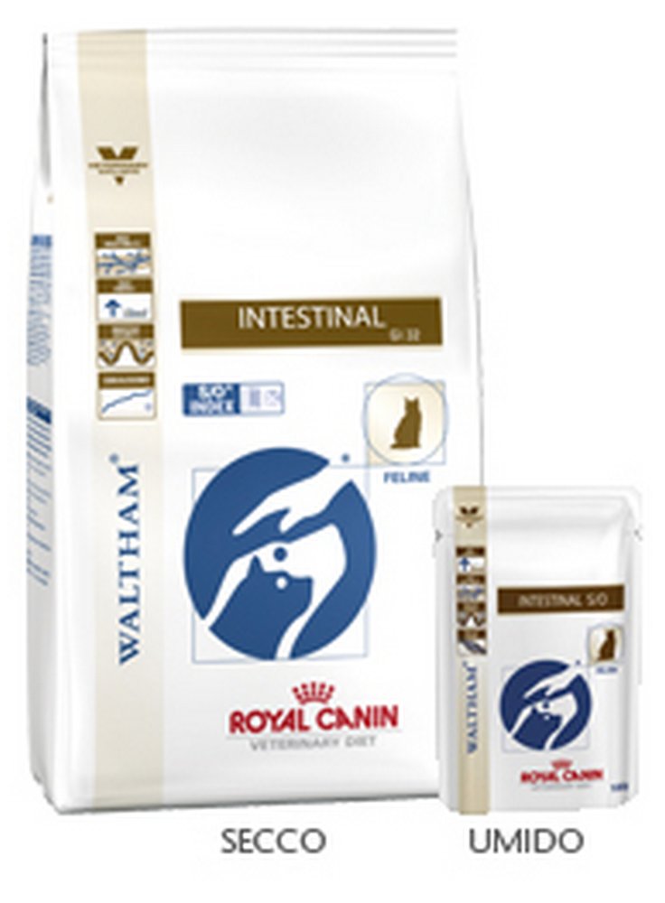 Royal canin feline intestinal buste umido 12x100