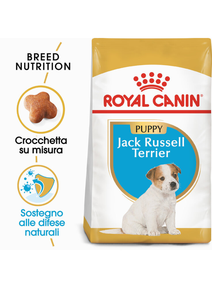 jack-russell-puppy-royal-canin-500-gr