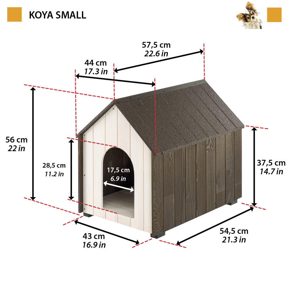 KOYA SMALL CANILE