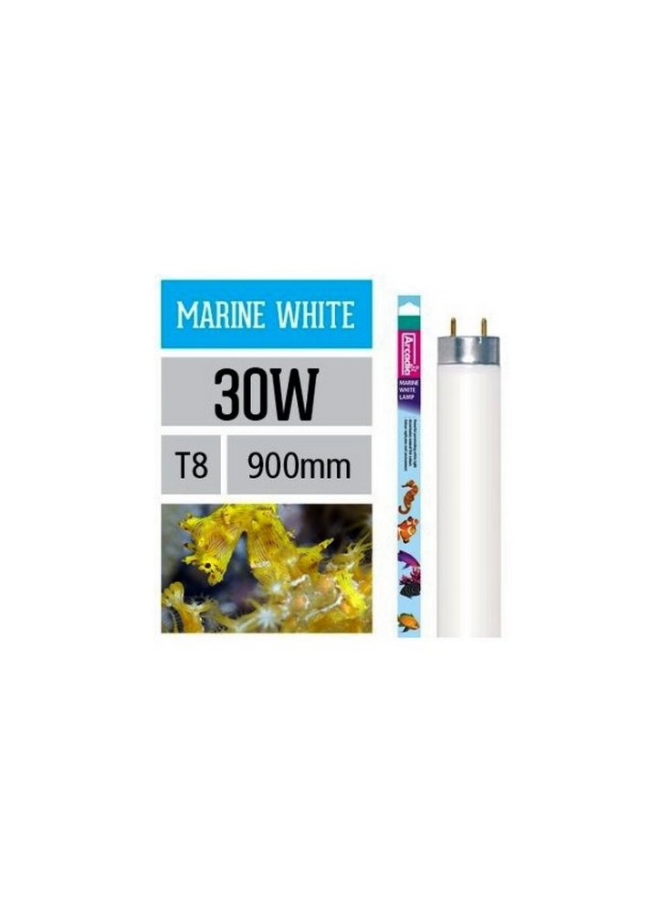 30073759_30W_marine